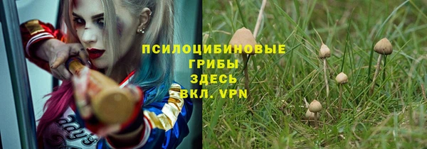 МДПВ Волоколамск