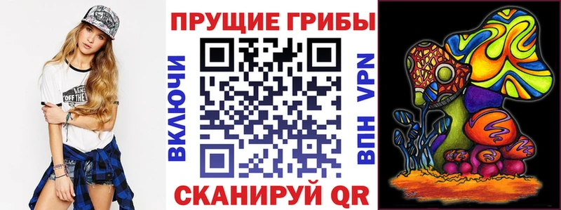 Галлюциногенные грибы Psilocybine cubensis  Смоленск 